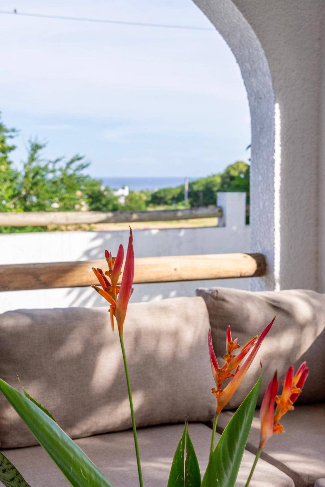 Sea La Vie - Holiday Home Albion Dış mekan fotoğraf